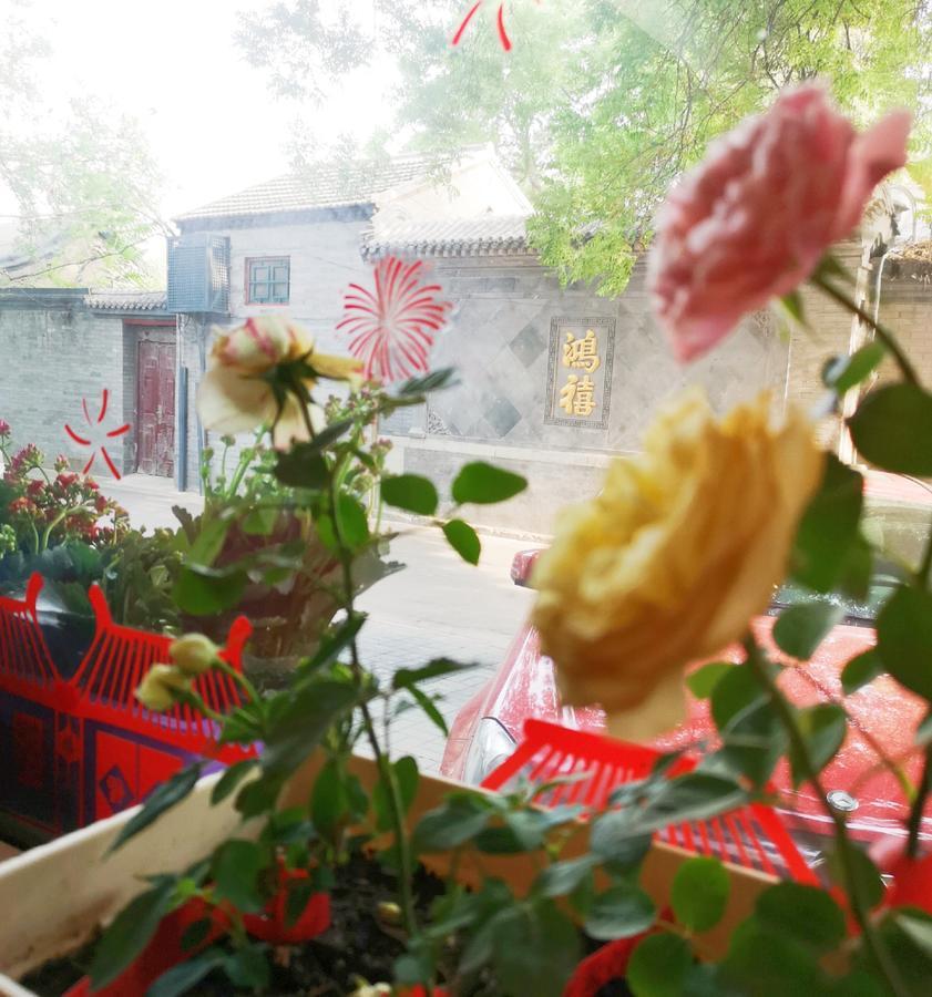 Hutong Impressions Beijing Guesthouse Luaran gambar